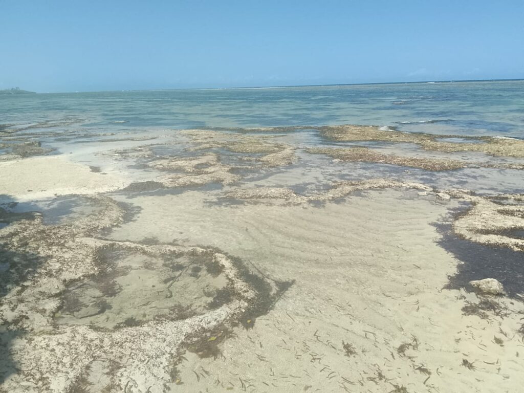 4.5 Acres Beachfront Land for Sale in Diani